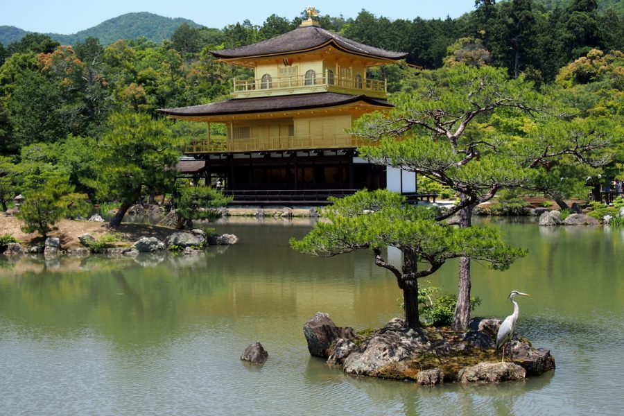 Kyoto – a city where freedom and traditions go hand in hand